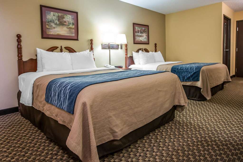 Quality Inn & Suites Mendota Near I-39 Room photo